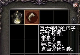 飛龍爪子.jpg