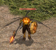 黃蜂遊騎兵.jpg